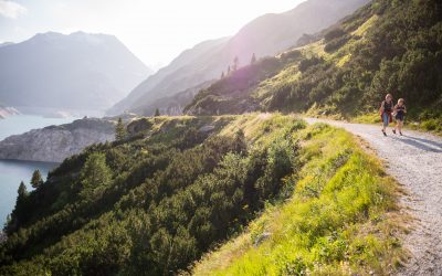 Purging, Organizing, and Fresh Starts